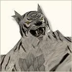 [1]White Tiger King